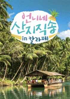 ��ϳ� �������� in Į����