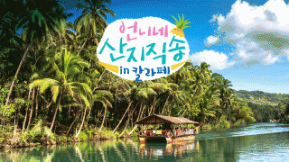 ��ϳ� �������� in Į����